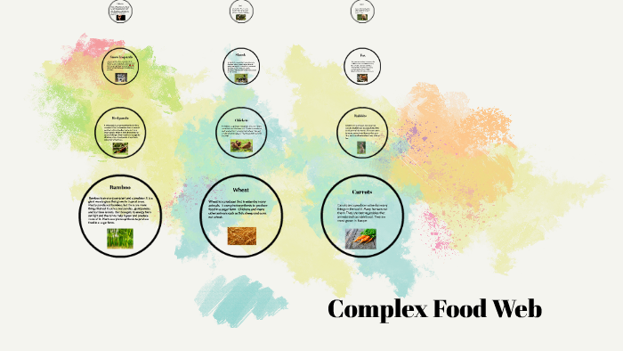 complex-food-web-by-isabella-l
