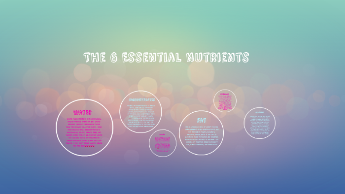 The 6 Essential Nutrients By Taylor Kennedy On Prezi