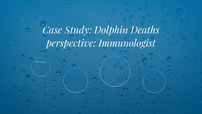 Buffalo case studies collection picture