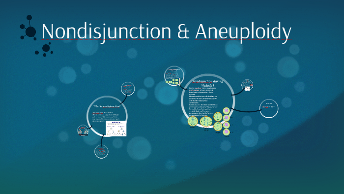 Nondisjunction & Aneuploidy by Kasey Holland on Prezi