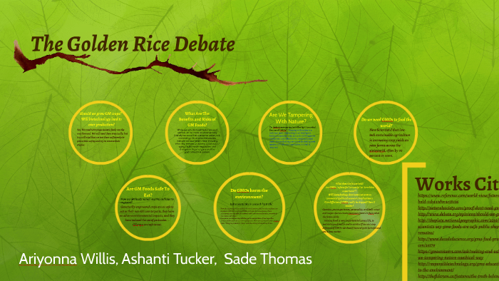 golden rice debate essay