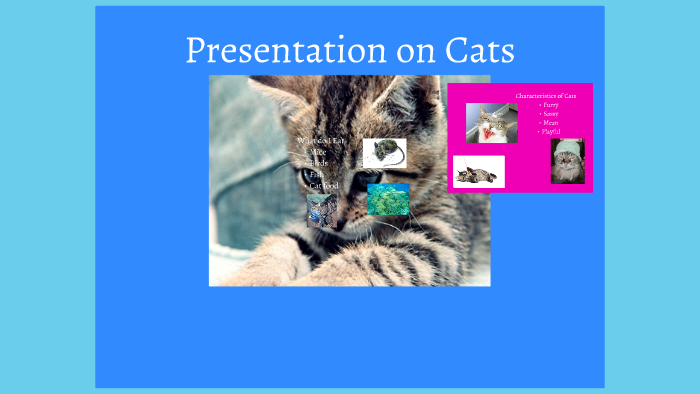 Presentation on Cats by Raven Mitchell on Prezi