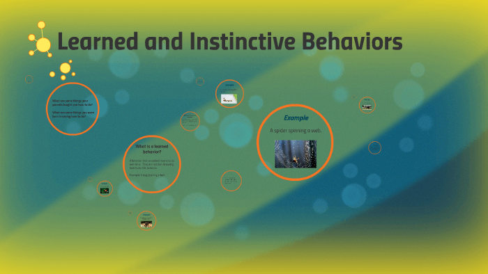 learned-and-instinctive-behaviors-by-jennifer-g