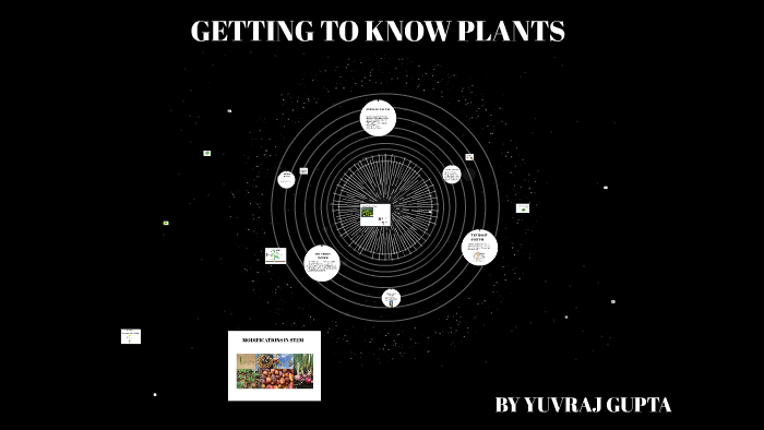 biology-getting-to-know-plants-part-21-questions-2-class-6-vi-youtube