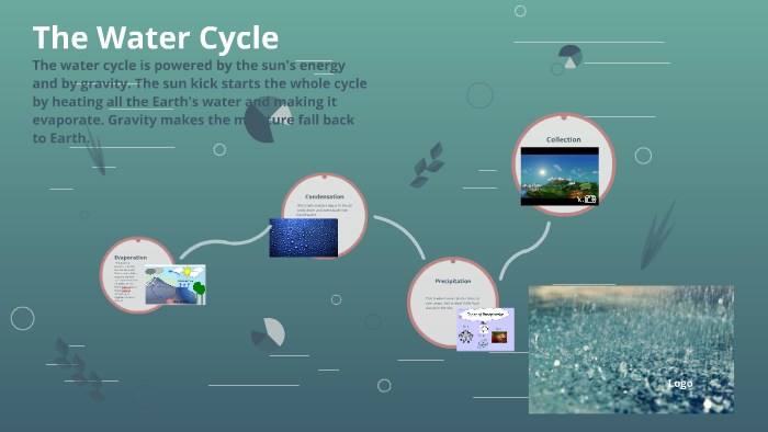 The Water Cycle by Professional Writing on Prezi