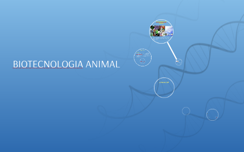 BIOTECNOLOGIA ANIMAL by Juan Venegas on Prezi