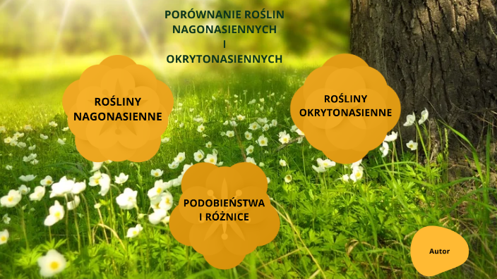 Rośliny Nagonasienne I Okrytonasienne Rośliny nagonasienne i okrytonasienne by Marcin B. on Prezi