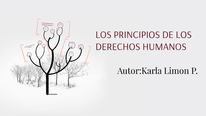 Los Principios De Los Derechos Humanos By Karla Lp 5112