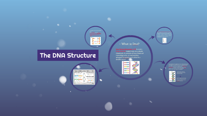 The DNA Structure by Andrea Saltari on Prezi