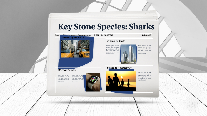 Keystone Species: Sharks (Read All About It) by Tanaya Brooks-White