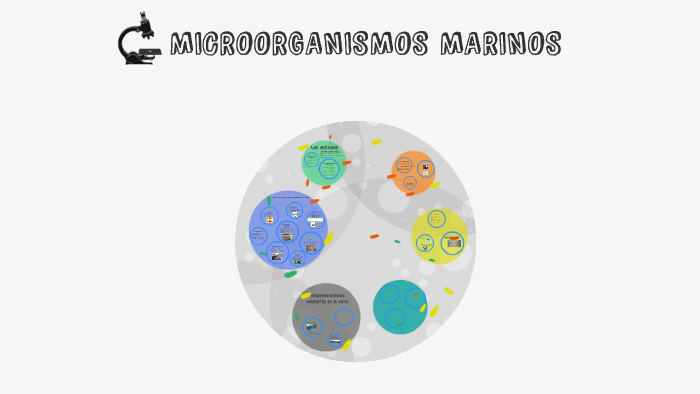 MICROORGANISMOS MARINOS by moises fuentes calderon on Prezi