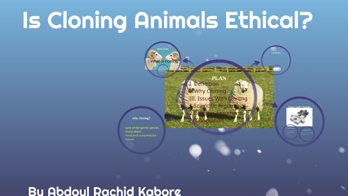 is-cloning-animals-ethical-by-abdoul-rachid-kabore-on-prezi