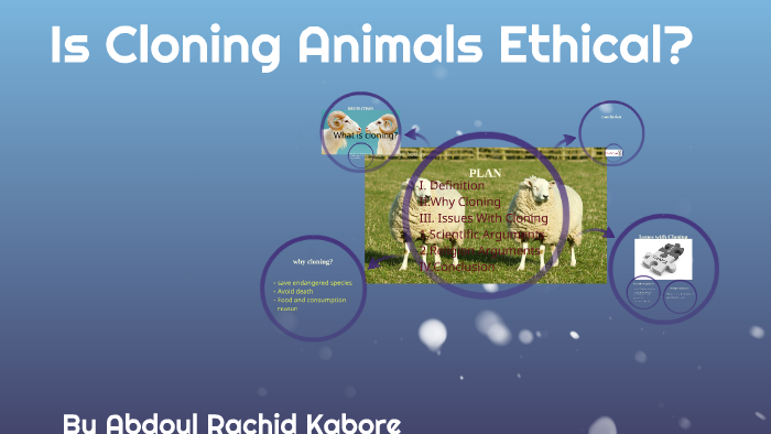 Is Cloning Animals Ethical By Abdoul Rachid Kabore On Prezi