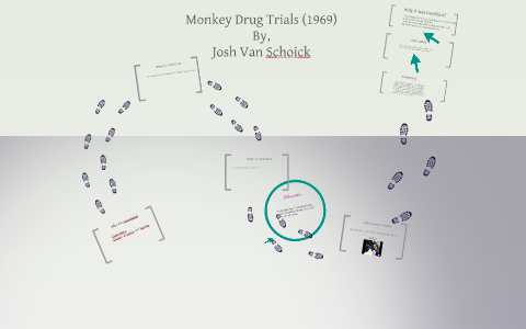 the monkey drug trials of 1969
