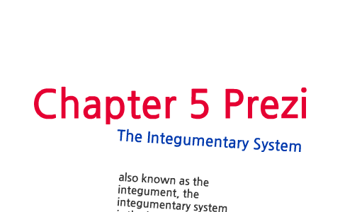 Anatomy Chapter 5 Prezi by Acacia Deffenbaugh on Prezi