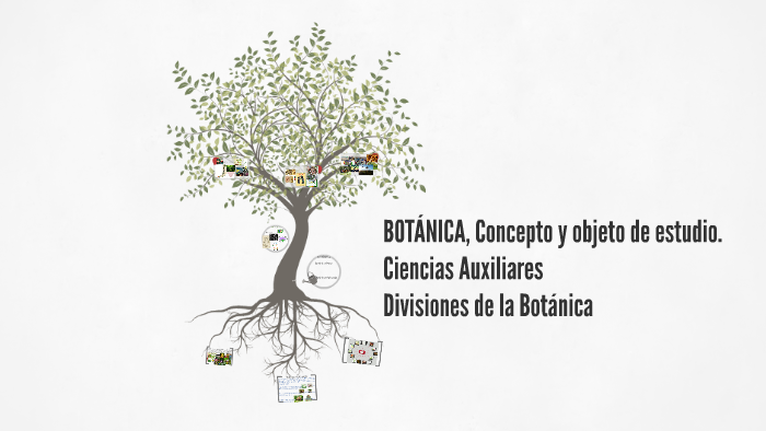 BOTÁNICA, Concepto y objeto de estudio by Odettee Isabel Cadena on Prezi