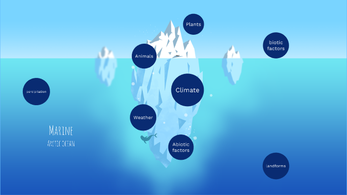 Arctic ocean by Alex Gardner on Prezi