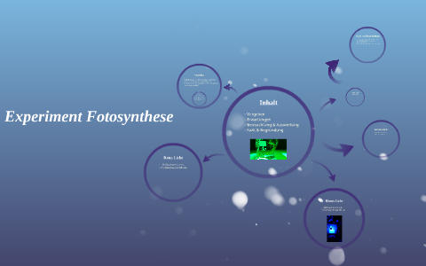 Experiment Fotosynthese by Sabrina Aschwanden