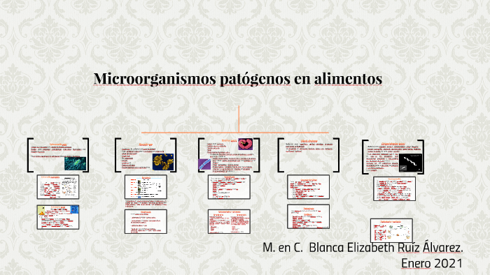 Patógenos en alimentos by Blanca Ruiz on Prezi