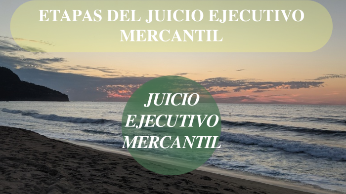 ETAPAS DEL JUICIO EJECUTIVO MERCANTIL By Edna Leon Bautista On Prezi