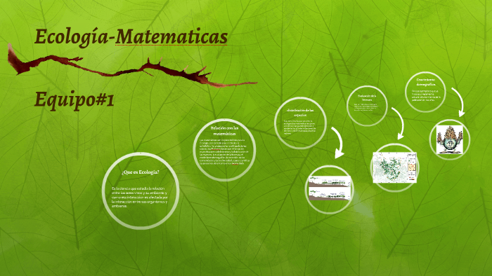 Que Relacion Tiene La Matematica Con La Ecologia