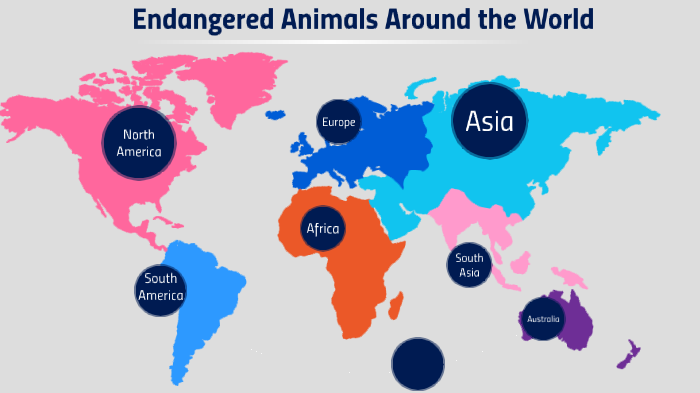 Endangered Animals Across the World by aayushi shrivastava on Prezi