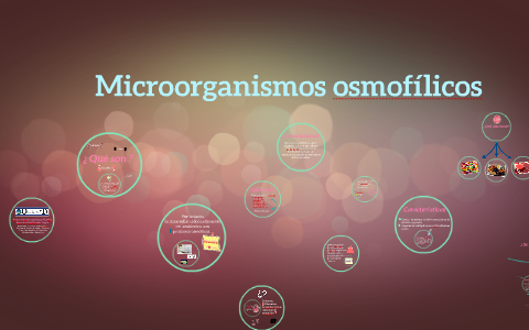 Microorganismos osmofílicos by Andrea Mishell Duarte Tagua ...