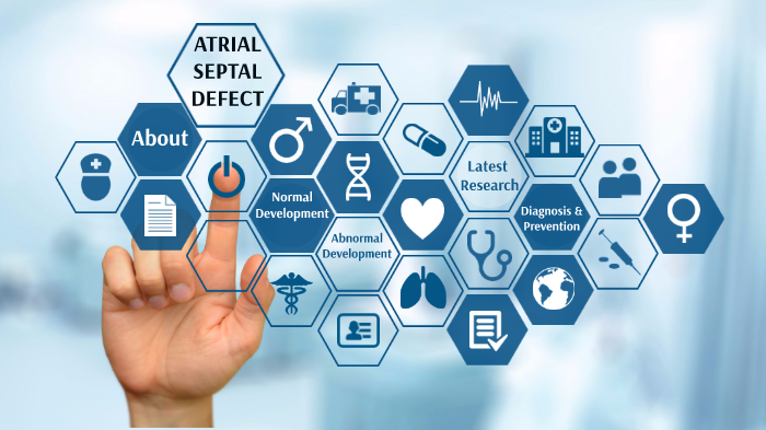 Atrial Septal Defect Embryology By Julie Kieu