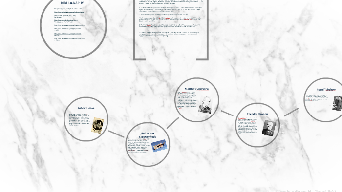 DNA History Timeline by Gabriel Janisse on Prezi