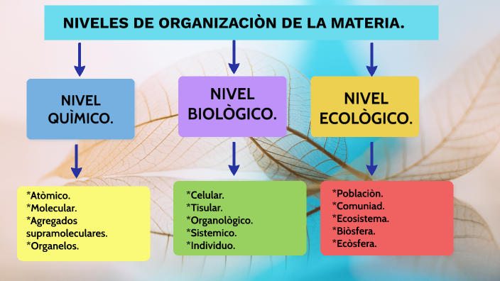 Niveles. by Diego Sánchez