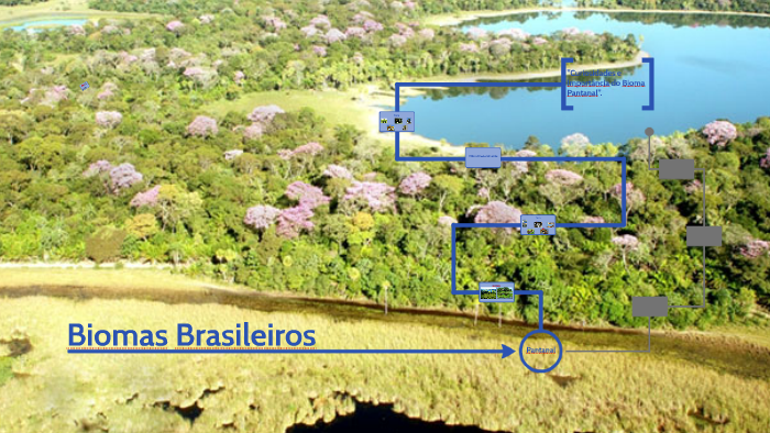 Biomas Brasileiros by ETEC 1M3 2015 on Prezi
