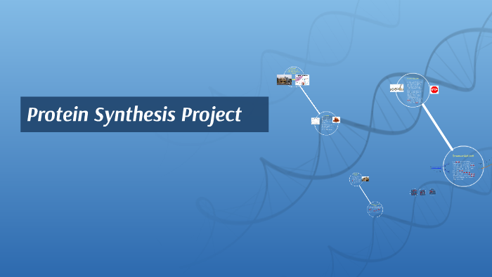 Protien Synthesis Project Protein Synthesis Project by daniel chao on Prezi