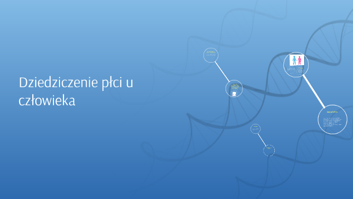 Dziedziczenie Płci U Człowieka Klasa 8 Sprawdzian Dziedziczenie płci u człowieka by weronika k on Prezi