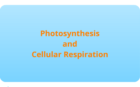 Photosynthesis and Cellular Respiration Mind Map Project by Sarah ...