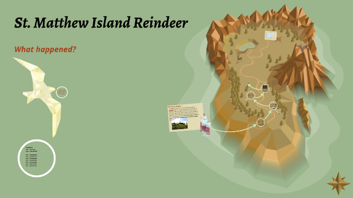 st-matthew-island-reindeer-by-erin-landrigan