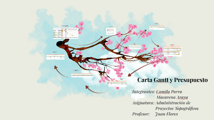 Carta Gantt y Presupuesto Proyecto by Camila Parra Gonzalez on Prezi