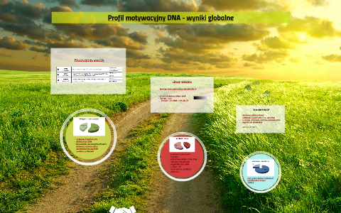 Profil motywacyjny DNA - wyniki globalne by Magdalena Matyjek