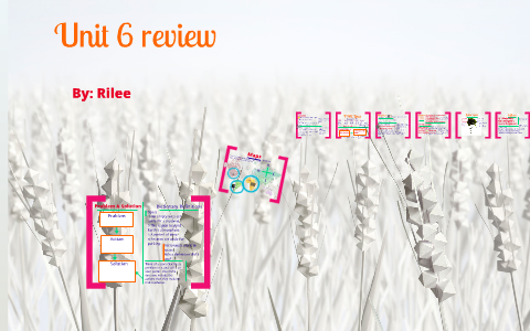 Unit 6 Review by Rilee Judd on Prezi