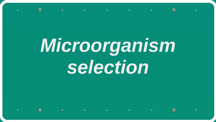 Microorganism selection by Ali Hashemi