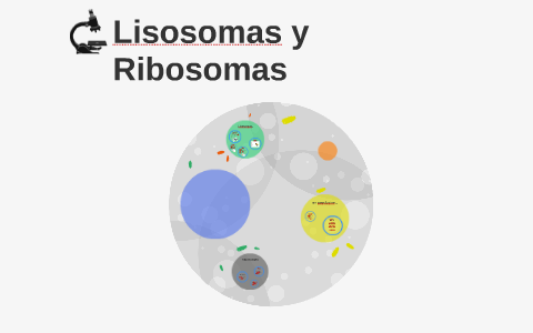 LISOSOMAS by on Prezi