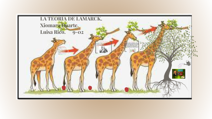 LA TEORIA DE LAMARCK. by xiomara duarte zapata on Prezi
