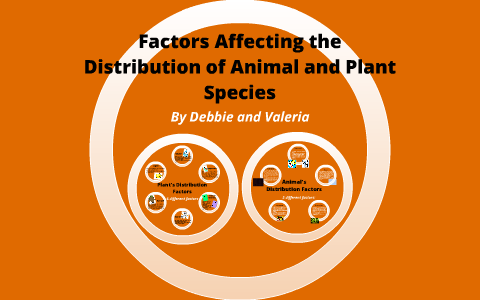 Factors Affecting the Distribution of Animal and Plant Species by Valeria  Mazzanti on Prezi Next