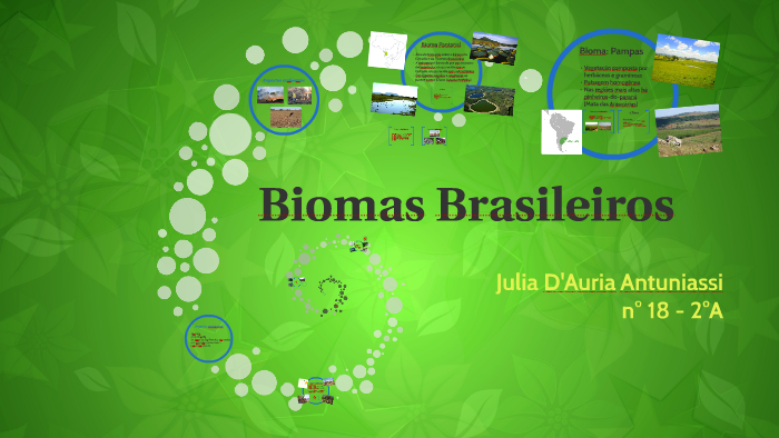 Biomas Brasileiros by Julia D'Auria on Prezi