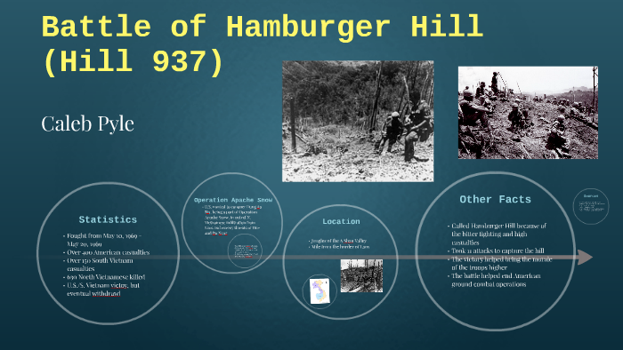 significance of the battle of hamburger hill