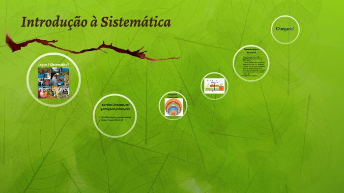 O que é Sistemática? by Marli Mota on Prezi