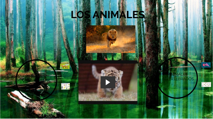 Presentación De Animales Salvajes By Elena Condori Ruiz On Prezi