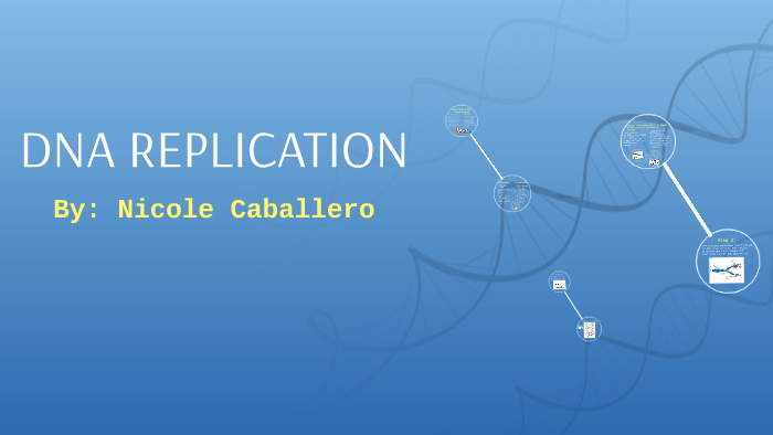 DNA REPLICATION by nicole caballero on Prezi