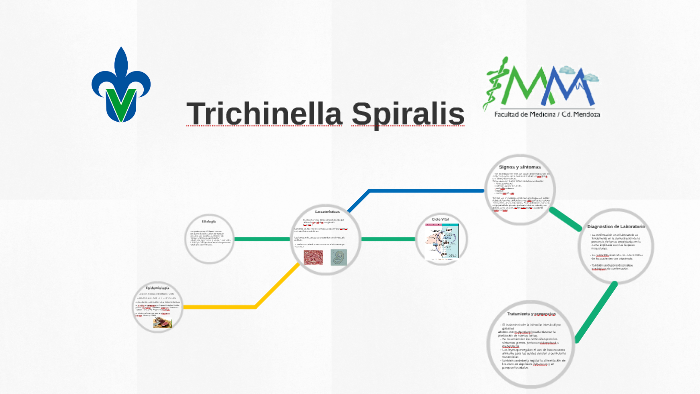 epidemiologia de trichinella spiralis