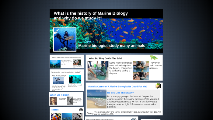 the-science-of-marine-biology