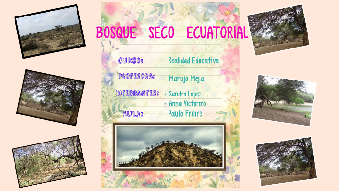 BOSQUE SECO ECUATORIAL By Sandra Lopez On Prezi